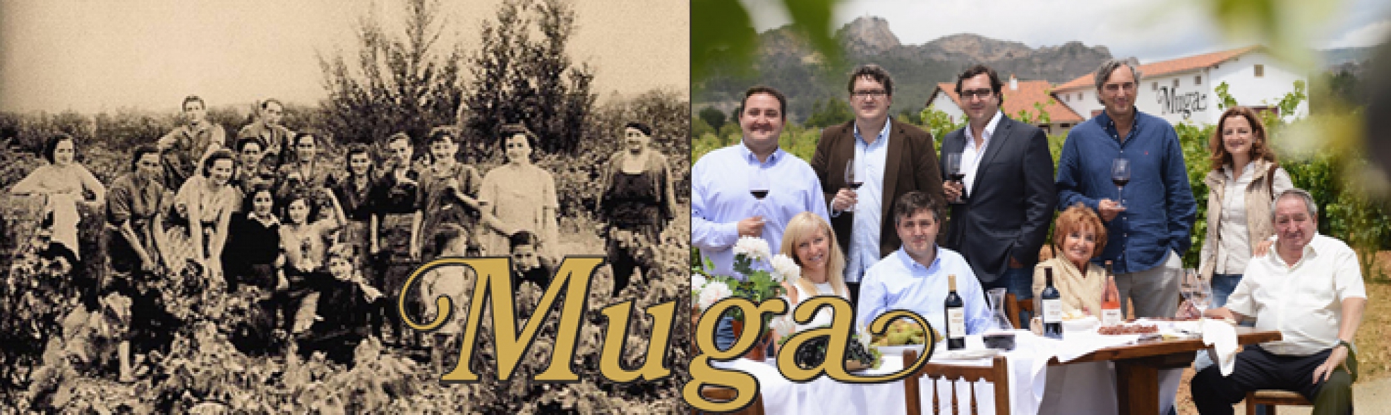 Bodegas Muga