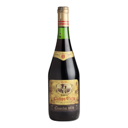 Campo Viejo